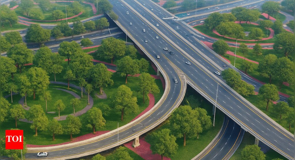 VAE: Wer steckt hinter Dubais massives Plantationsprojekt von 300.000 Bäumen und wie viel hat es wirklich gekostet? | Weltnachrichten