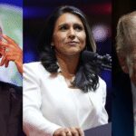 „Obama Admin, der darauf abzielt, Trump zu usire“: Dni Tulsi Gabbard wiedereröffnet 2016 die Wahlsonde; schwört, alle Dokumente an DOJ zu übergeben