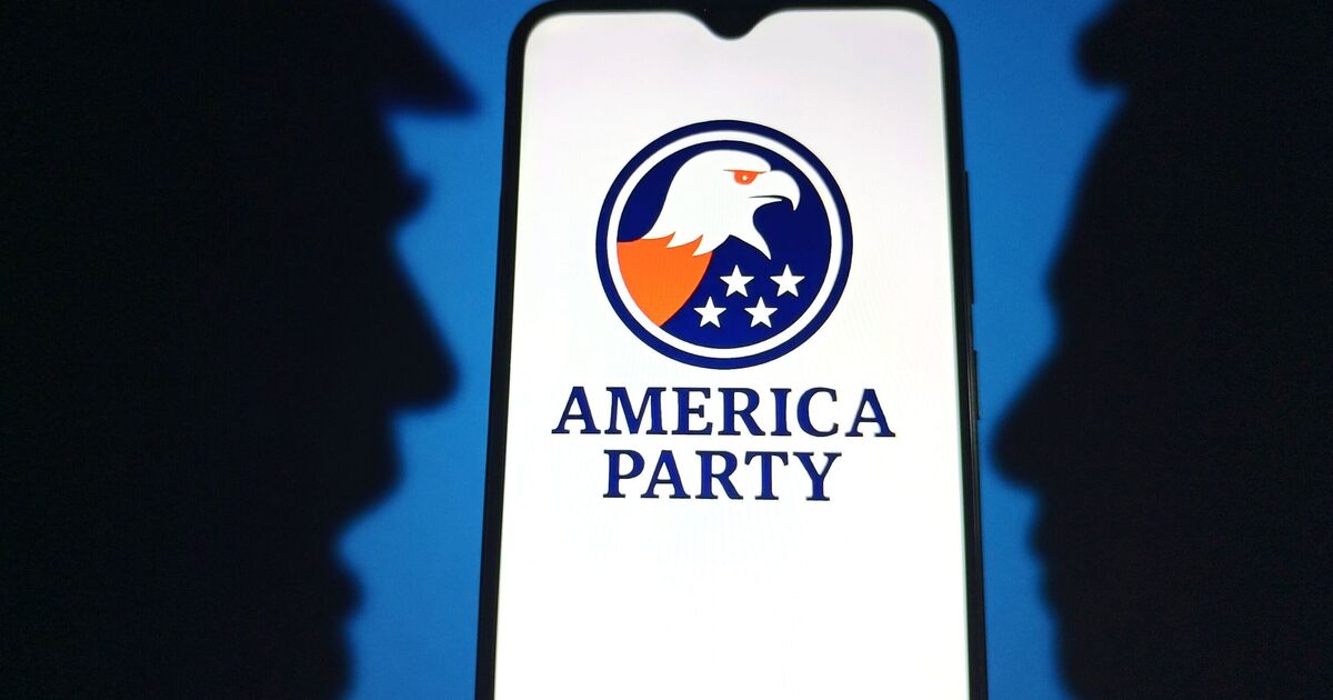 El Partido América de Elon Musk no ganará asientos, pero puede ‚aguantar como una abeja‘ | Mundo | Noticias