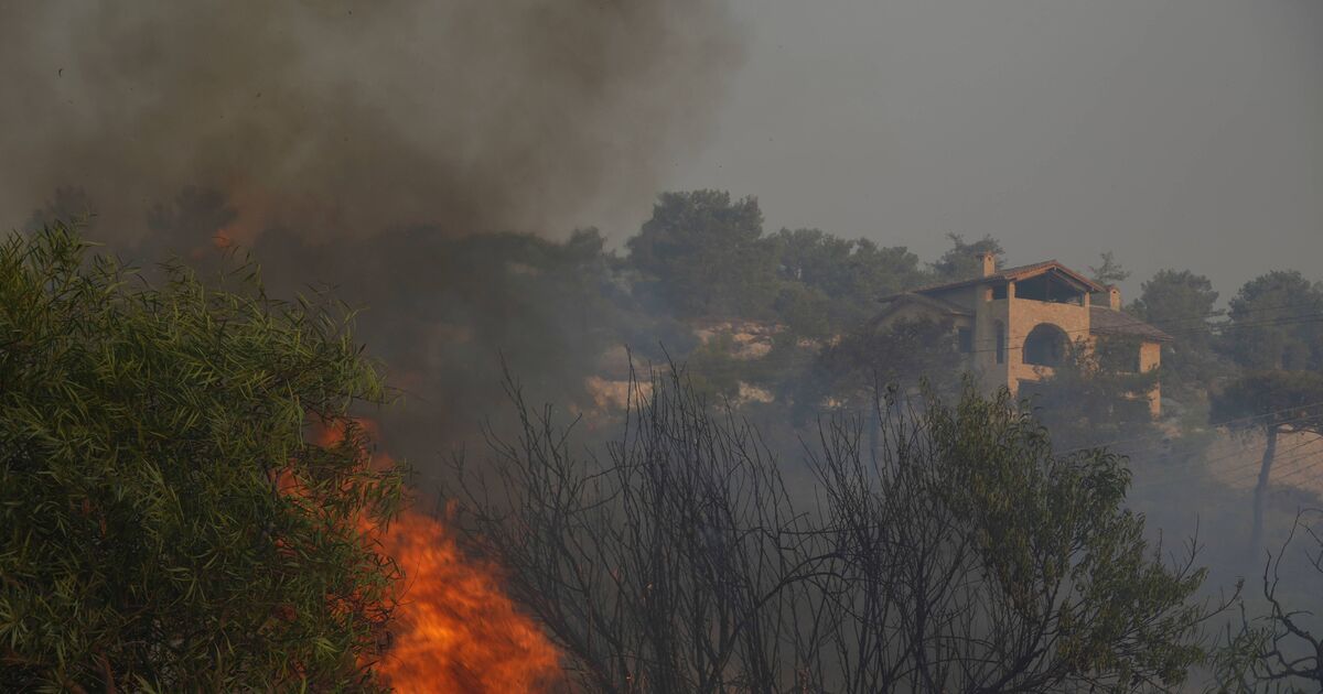 Zypern Waldbrände: Person, die auf Holiday Island tot aufgefunden ist, als Inferno tobt | Welt | Nachricht