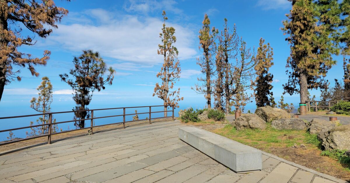Fury in Teneriffa als Einheimische satt von Selfie-Taking-Touristen ruinieren den Schönheitspunkt | Welt | Nachricht Fury in Teneriffa als Einheimische satt von Selfie-Taking-Touristen ruinieren den Schönheitspunkt | Welt | Nachricht