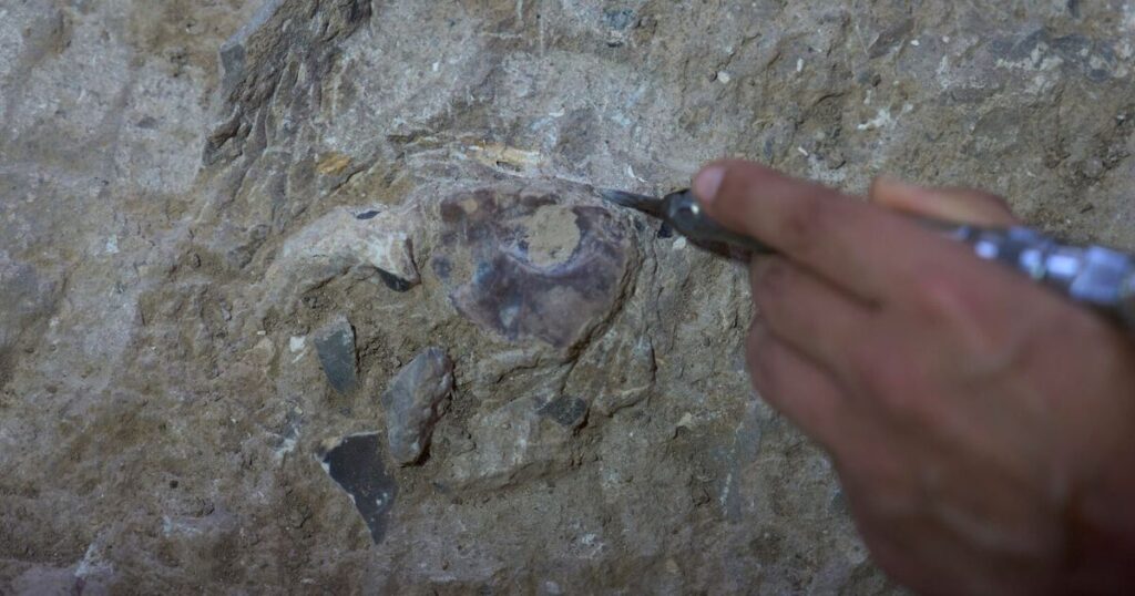 Archäologie Durchbruch als „Welt ältester“ Grabstätte entdeckt | Welt | Nachricht