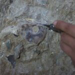 Archäologie Durchbruch als „Welt ältester“ Grabstätte entdeckt | Welt | Nachricht