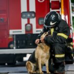 La dulce forma de consolar a los perros de los bomberos involucrados en el accidente automovilístico es tocar corazones