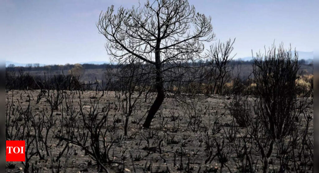 Vereinte Nationen: UN sagt, dass die Gesundheit der Arbeitnehmer durch steigende Hitze stark betroffen ist