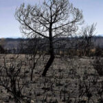 Vereinte Nationen: UN sagt, dass die Gesundheit der Arbeitnehmer durch steigende Hitze stark betroffen ist