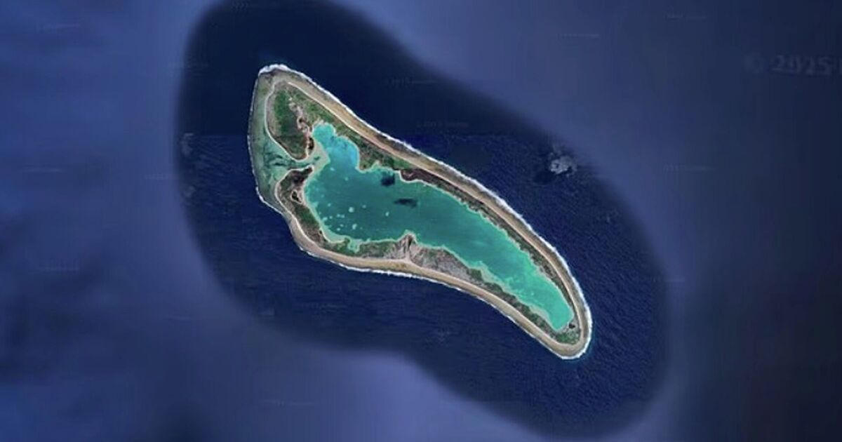 Legende von Amelia Earharts fehlendes Flugzeug gelegen, behauptet Pilot | Welt | Nachricht