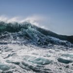 Geologen machen wilde Entdeckungen über „verkehrt herum“ Nordteafe | Welt | Nachricht Geologen machen wilde Entdeckungen über „verkehrt herum“ Nordteafe | Welt | Nachricht