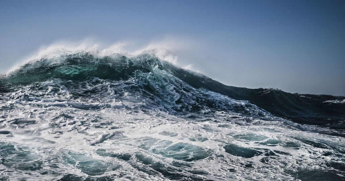 Geologen machen wilde Entdeckungen über „verkehrt herum“ Nordteafe | Welt | Nachricht
