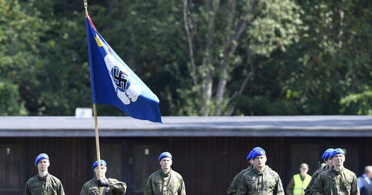 Die europäische NATO -Luftwaffe, die immer noch Hakenkreuze fliegt | Welt | Nachricht