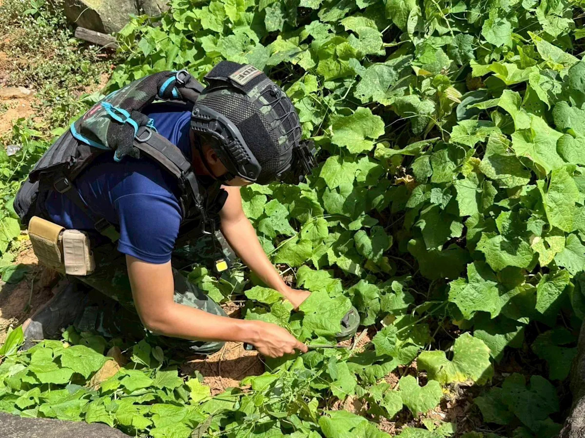 Thailand warnt da Thailand warnt da