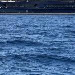 „Es fällt mir schwer, das zu verstehen.“