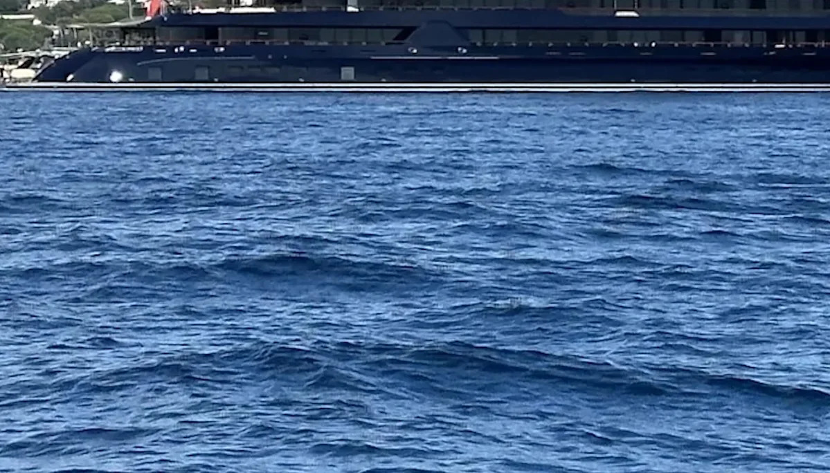 „Es fällt mir schwer, das zu verstehen.“ „Es fällt mir schwer, das zu verstehen.“