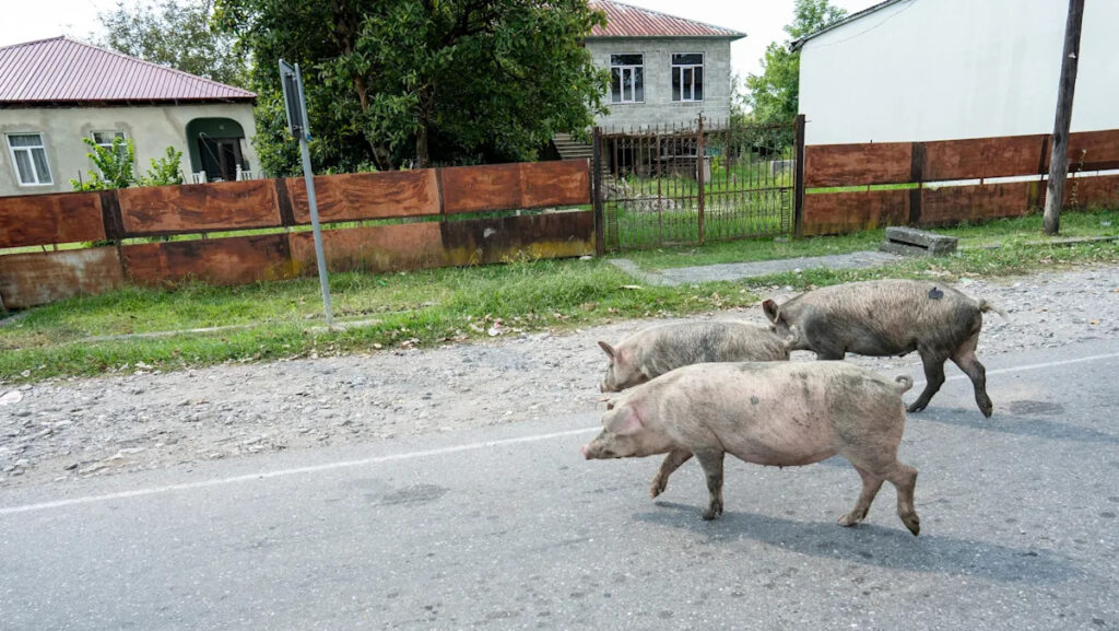 „Denken Sie daran, eine sichere Entfernung zu behalten.“