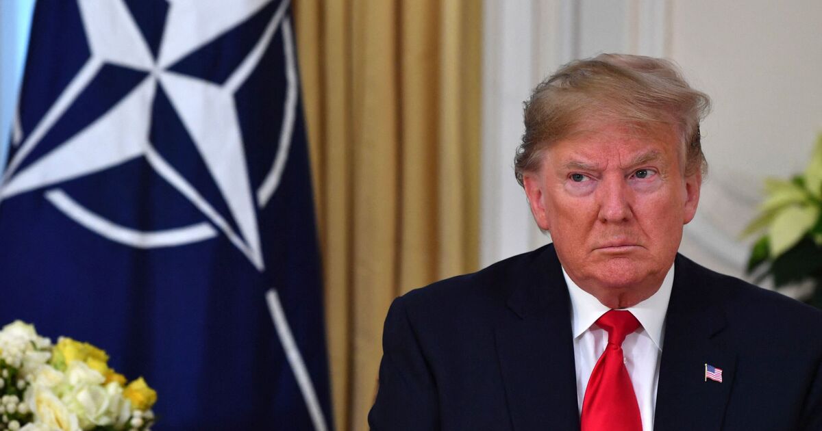 Trump -Probleme fordern die NATO auf, bevor er Putin | „schwere“ Sanktionen auferlegt | Welt | Nachricht Trump -Probleme fordern die NATO auf, bevor er Putin | „schwere“ Sanktionen auferlegt | Welt | Nachricht