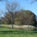 Die bizarre europäische Insel mitten in einem Fluss, der alle 6 Monate die Nationalität auswirkt | Welt | Nachricht