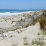 Kokainspiegel in Nantucket -Abwasser 50% über dem US -Durchschnitt. Gesundheitsdaten zeigen