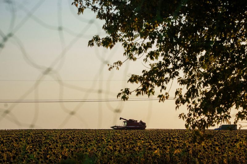 Zelenskiy sagt Zelenskiy sagt