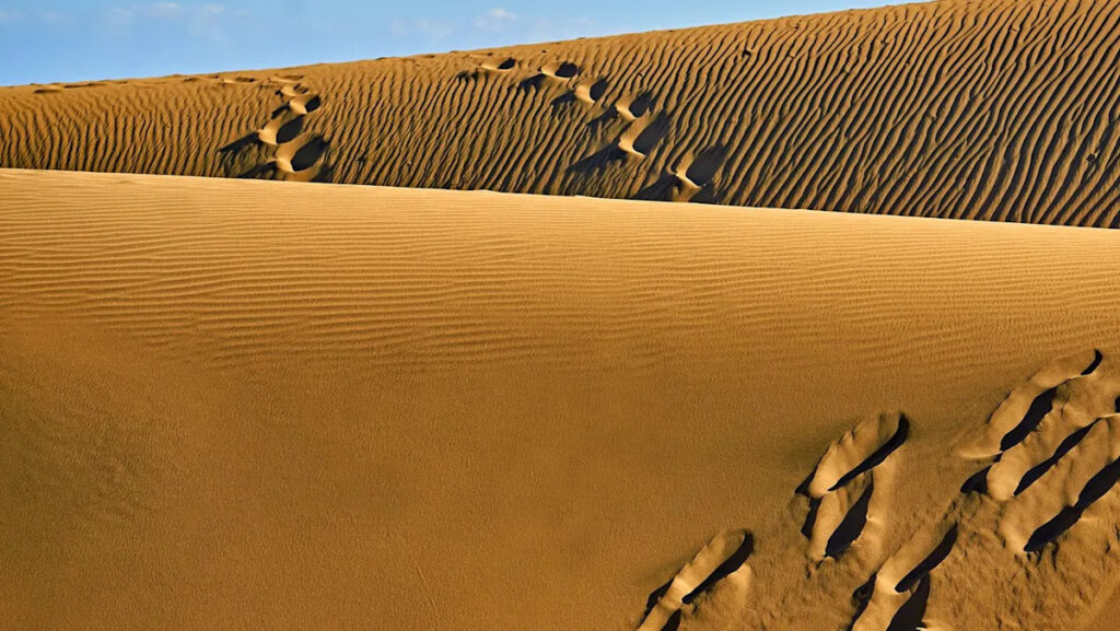 Wissenschaftler fanden 7.000 Jahre alte Mumien in der Wüste, die keine DNA mit modernen Menschen teilen