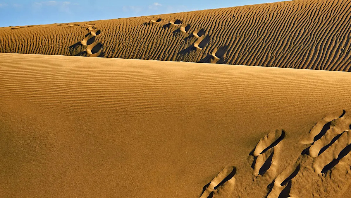 Wissenschaftler fanden 7.000 Jahre alte Mumien in der Wüste, die keine DNA mit modernen Menschen teilen Wissenschaftler fanden 7.000 Jahre alte Mumien in der Wüste, die keine DNA mit modernen Menschen teilen