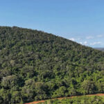 Kenias heiliger Mrima-Hügel verwandelt sich in einen „Avatar“ der realen Welt: Der versteckte 62-Milliarden-Dollar-Mineralienkrieg zwischen den USA und China | Weltnachrichten Kenias heiliger Mrima-Hügel verwandelt sich in einen „Avatar“ der realen Welt: Der versteckte 62-Milliarden-Dollar-Mineralienkrieg zwischen den USA und China | Weltnachrichten