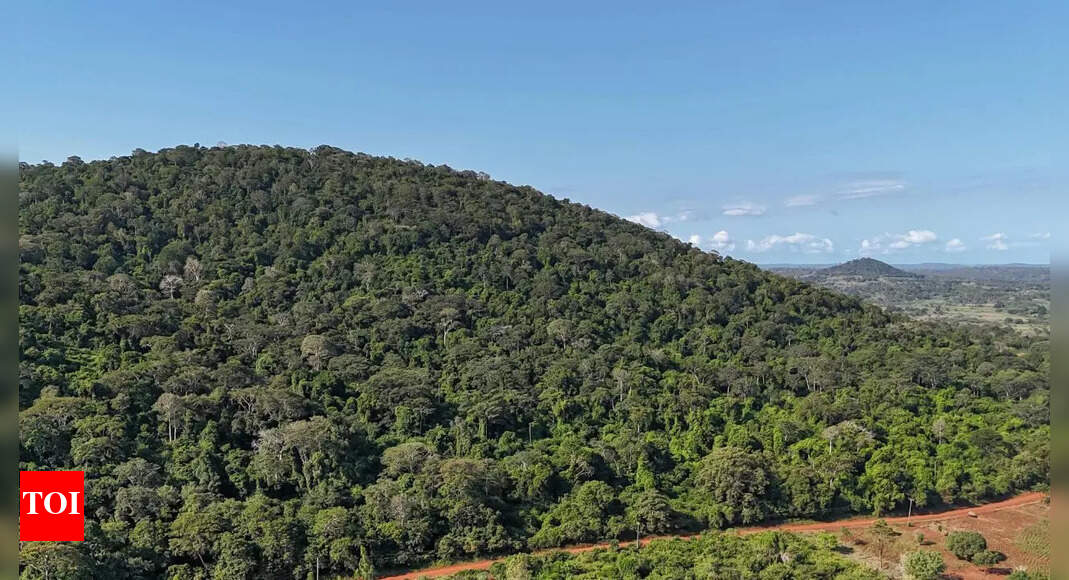 Kenias heiliger Mrima-Hügel verwandelt sich in einen „Avatar“ der realen Welt: Der versteckte 62-Milliarden-Dollar-Mineralienkrieg zwischen den USA und China | Weltnachrichten