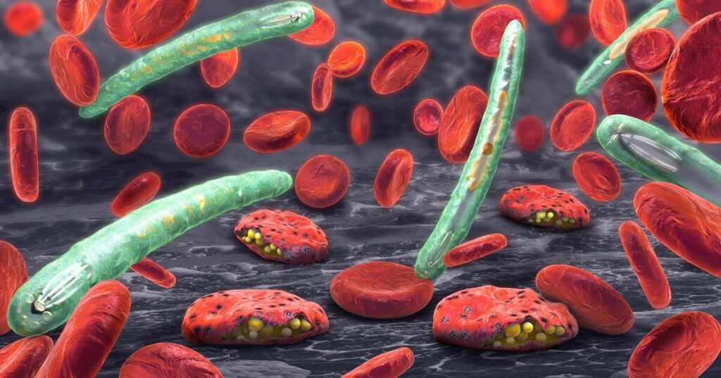 Malaria könnte „tödlichstes Wiederaufleben aller Zeiten“ erleben, da Wissenschaftler eine Horrorwarnung herausgeben | Welt | Nachricht Malaria könnte „tödlichstes Wiederaufleben aller Zeiten“ erleben, da Wissenschaftler eine Horrorwarnung herausgeben | Welt | Nachricht