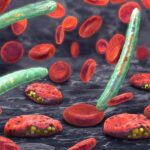 Malaria könnte „tödlichstes Wiederaufleben aller Zeiten“ erleben, da Wissenschaftler eine Horrorwarnung herausgeben | Welt | Nachricht