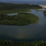 Waldschutz lukrativer machen als Zerstörung Waldschutz lukrativer machen als Zerstörung