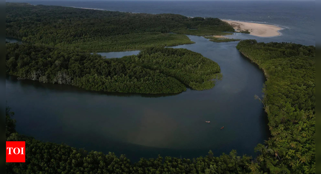 Waldschutz lukrativer machen als Zerstörung