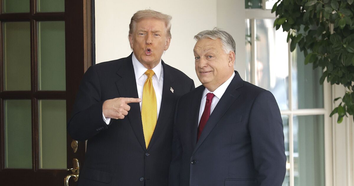 Donald Trump verärgert die „Flut“ von Einwanderern nach Europa als Großangriff auf die EU | Welt | Nachricht